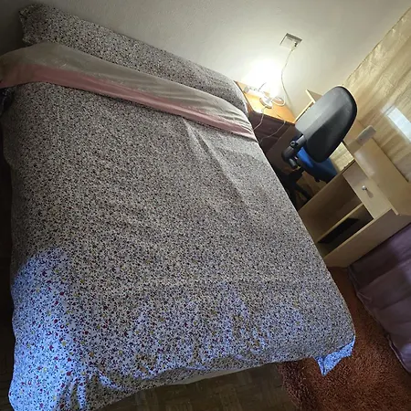 Homestay Vida *